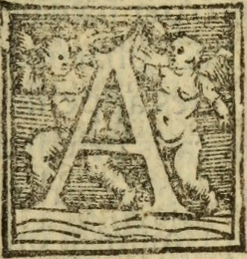 An illustration from Epitomes omnium Galeni Pergameni operum, vniuersam illius viri doctrinam, & methodu[m], quàm accuratissimè contine[n]tis, sectio prima-[quarta], 1548, leaf 408