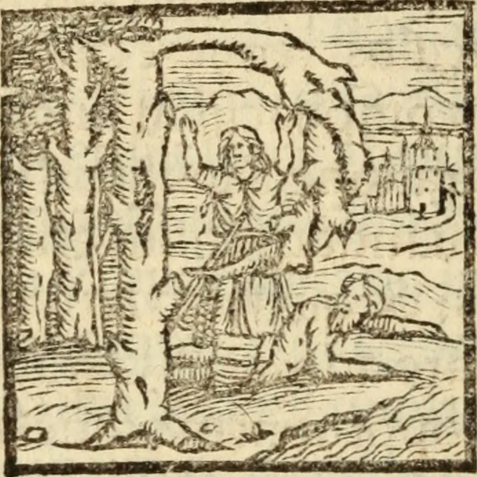 An illustration from Epitomes omnium Galeni Pergameni operum, vniuersam illius viri doctrinam, & methodu[m], quàm accuratissimè contine[n]tis, sectio prima-[quarta], 1548, leaf 421