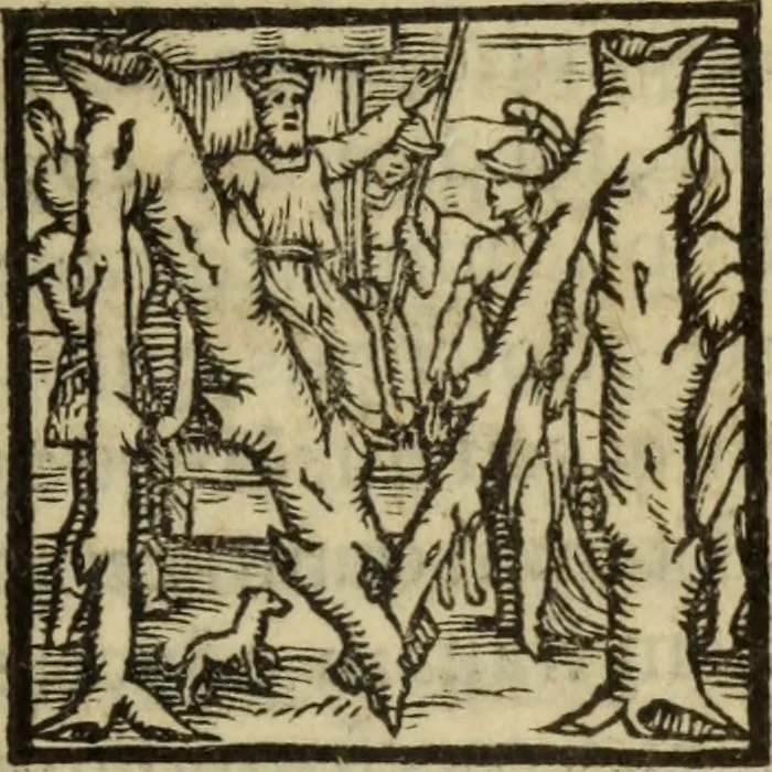 An illustration from Epitomes omnium Galeni Pergameni operum, vniuersam illius viri doctrinam, & methodu[m], quàm accuratissimè contine[n]tis, sectio prima-[quarta], 1548, leaf 460