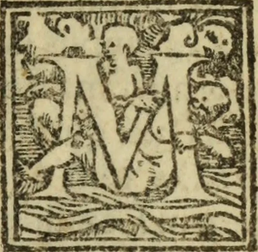 An illustration from Epitomes omnium Galeni Pergameni operum, vniuersam illius viri doctrinam, & methodu[m], quàm accuratissimè contine[n]tis, sectio prima-[quarta], 1548, leaf 476