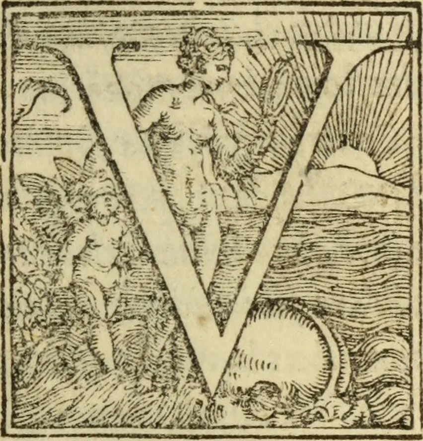 An illustration from Epitomes omnium Galeni Pergameni operum, vniuersam illius viri doctrinam, & methodu[m], quàm accuratissimè contine[n]tis, sectio prima-[quarta], 1548, leaf 490
