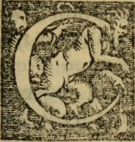 An illustration from Epitomes omnium Galeni Pergameni operum, vniuersam illius viri doctrinam, & methodu[m], quàm accuratissimè contine[n]tis, sectio prima-[quarta], 1548, leaf 60