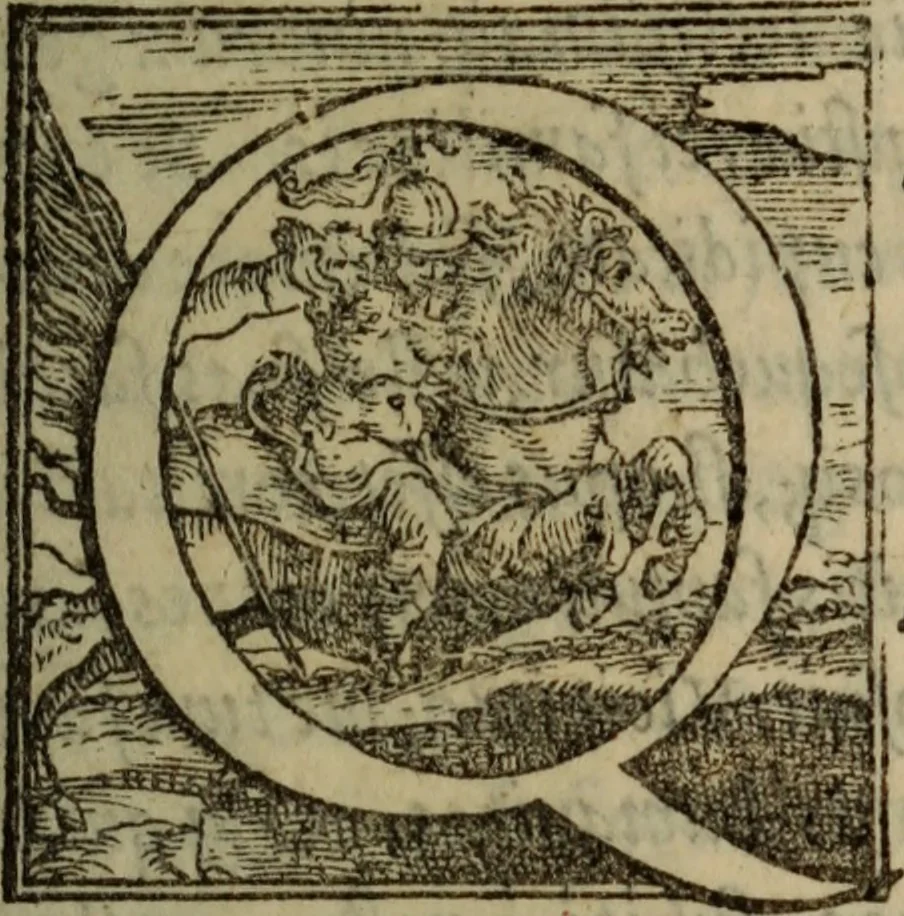 An illustration from Epitomes omnium Galeni Pergameni operum, vniuersam illius viri doctrinam, & methodu[m], quàm accuratissimè contine[n]tis, sectio prima-[quarta], 1548, leaf 20