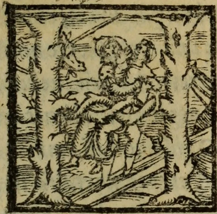 An illustration from Epitomes omnium Galeni Pergameni operum, vniuersam illius viri doctrinam, & methodu[m], quàm accuratissimè contine[n]tis, sectio prima-[quarta], 1548, leaf 392
