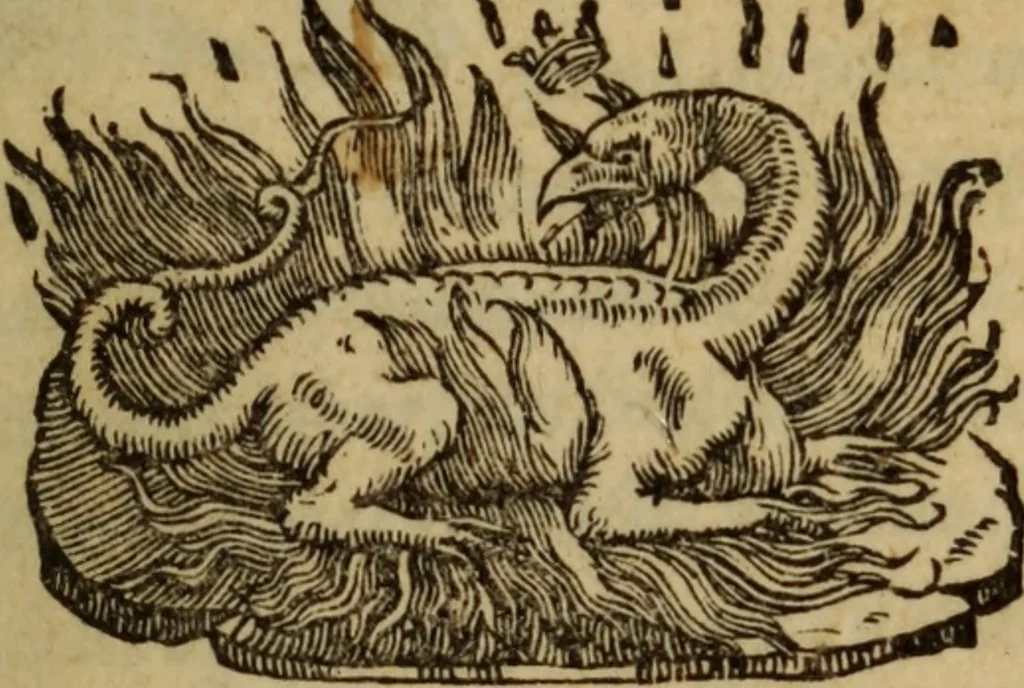 An illustration from Epitomes omnium Galeni Pergameni operum, vniuersam illius viri doctrinam, & methodu[m], quàm accuratissimè contine[n]tis, sectio prima-[quarta], 1548, leaf 4