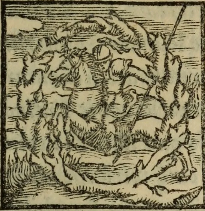 An illustration from Epitomes omnium Galeni Pergameni operum, vniuersam illius viri doctrinam, & methodu[m], quàm accuratissimè contine[n]tis, sectio prima-[quarta], 1548, leaf 404