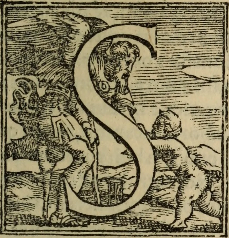 An illustration from Epitomes omnium Galeni Pergameni operum, vniuersam illius viri doctrinam, & methodu[m], quàm accuratissimè contine[n]tis, sectio prima-[quarta], 1548, leaf 410