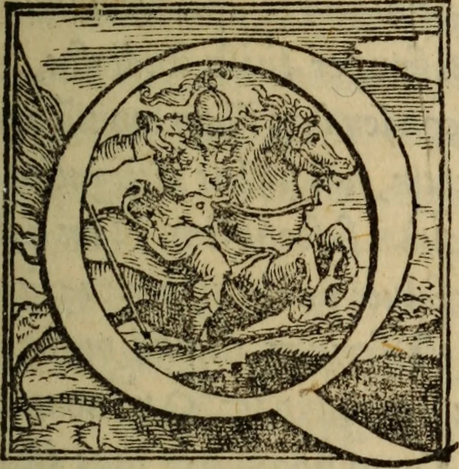 An illustration from Epitomes omnium Galeni Pergameni operum, vniuersam illius viri doctrinam, & methodu[m], quàm accuratissimè contine[n]tis, sectio prima-[quarta], 1548, leaf 6