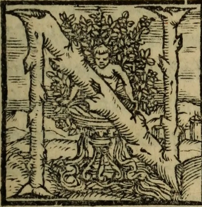 An illustration from Epitomes omnium Galeni Pergameni operum, vniuersam illius viri doctrinam, & methodu[m], quàm accuratissimè contine[n]tis, sectio prima-[quarta], 1548, leaf 8