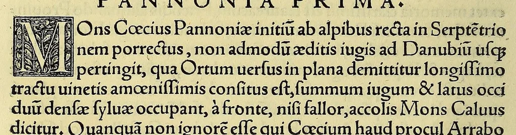 An illustration from Epitome trium terrae partium, Asiae, Africae et Europae : compendiariam locorum descriptionem continens, præcipue autem quorum in Actis Lucas, passim autem euangelistæ & apostoli meminere. : Cum addito in fronte libri elencho regionum, urbium, amnium, insularu[m], quorum Nouo Testamento fit mentio, quo expeditius pius lector quæ uelit, inuenire queat., 1534, leaf 78