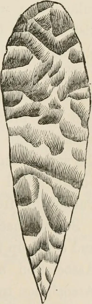 An illustration from The epoch of the mammoth and the apparition of man upon the earth, 1878, leaf 121