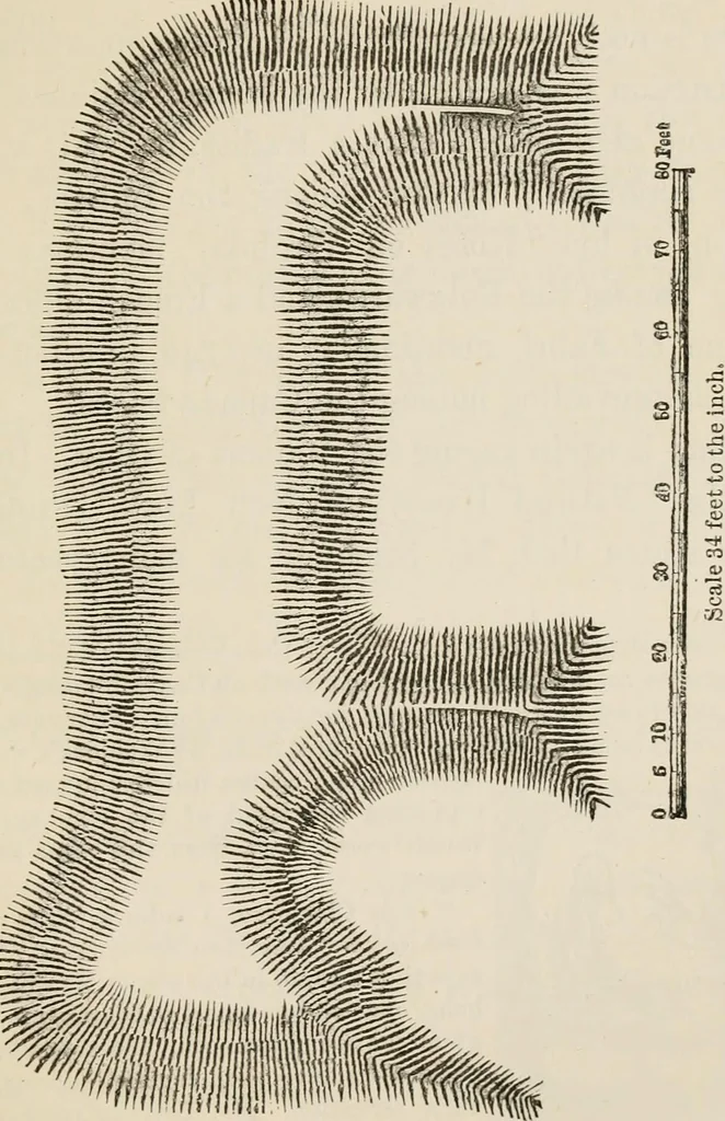 An illustration from The epoch of the mammoth and the apparition of man upon the earth, 1878, leaf 187