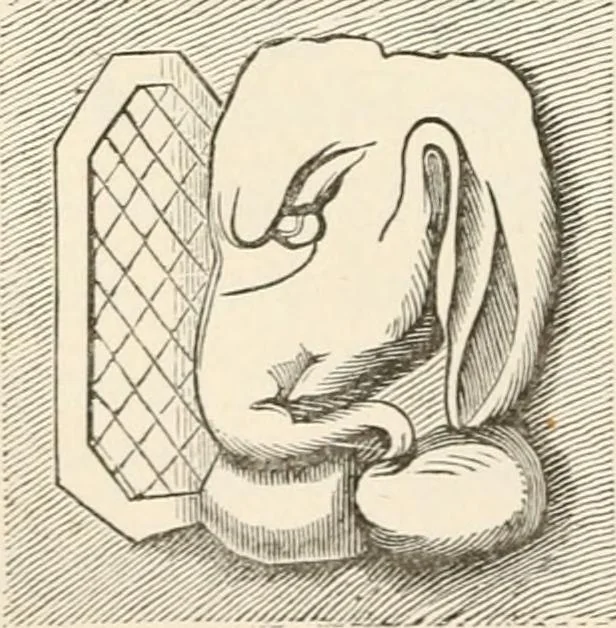 An illustration from The epoch of the mammoth and the apparition of man upon the earth, 1878, leaf 188