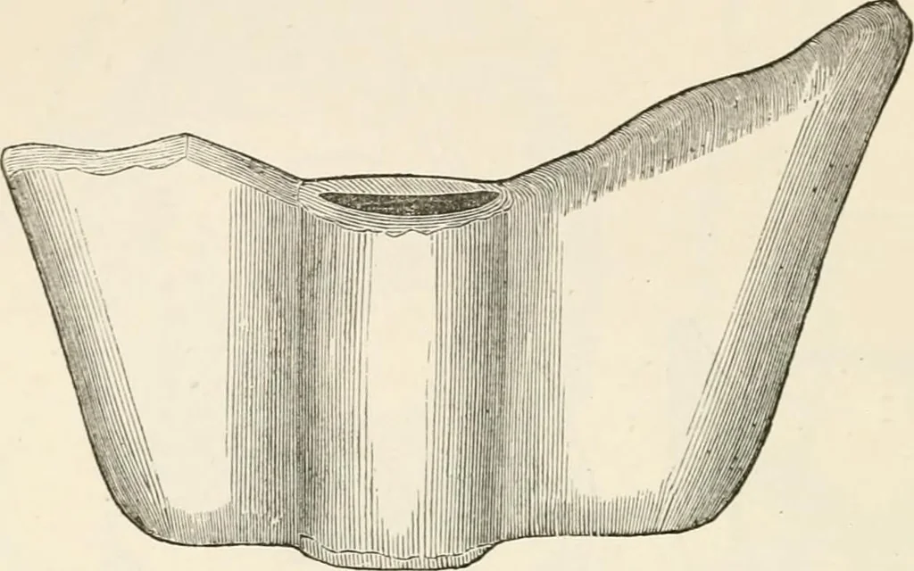 An illustration from The epoch of the mammoth and the apparition of man upon the earth, 1878, leaf 262