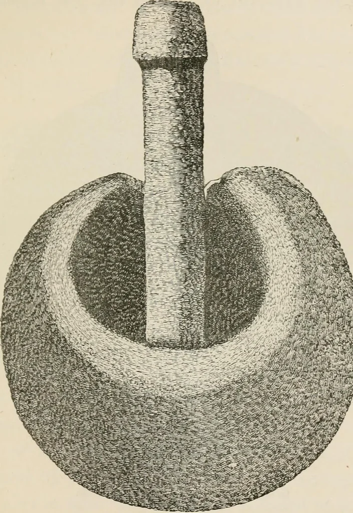 An illustration from The epoch of the mammoth and the apparition of man upon the earth, 1878, leaf 417