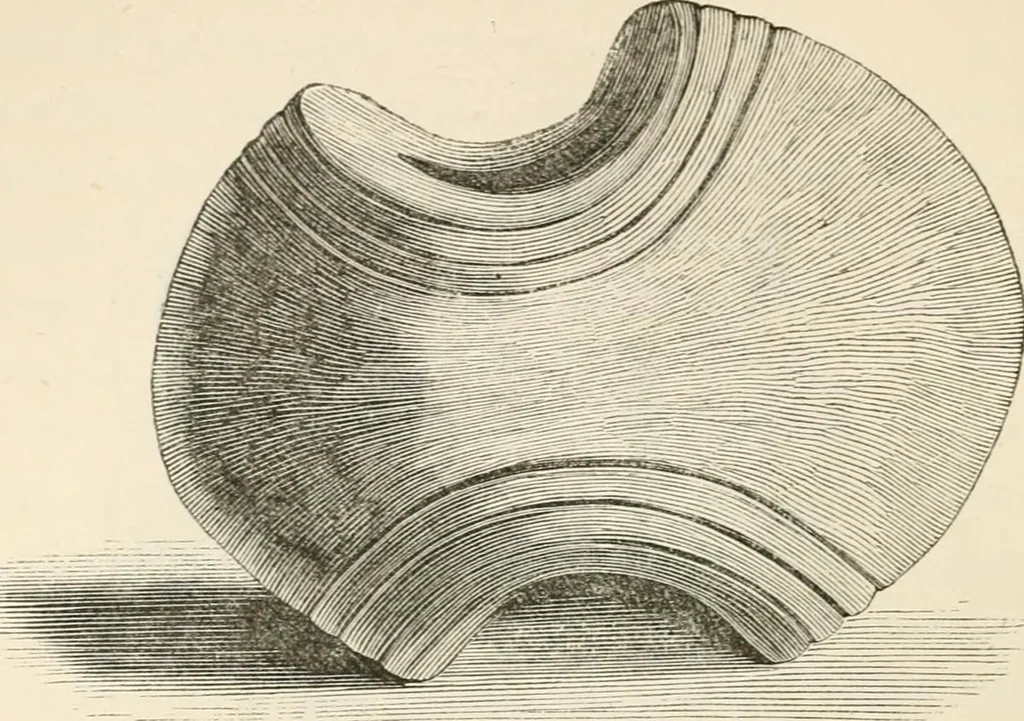 An illustration from The epoch of the mammoth and the apparition of man upon the earth, 1878, leaf 56