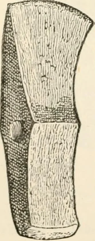 An illustration from The epoch of the mammoth and the apparition of man upon the earth, 1878, leaf 64