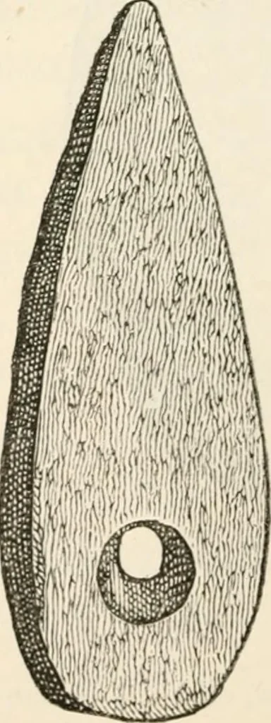 An illustration from The epoch of the mammoth and the apparition of man upon the earth, 1878, leaf 64