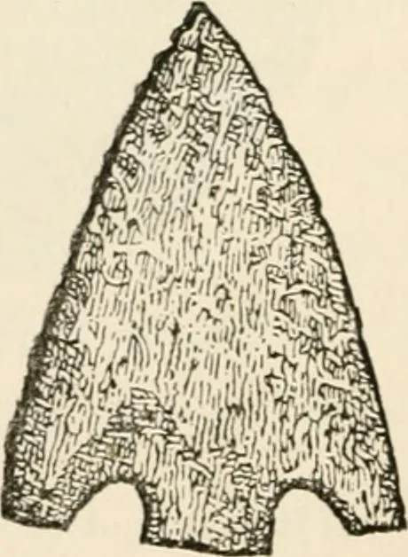 An illustration from The epoch of the mammoth and the apparition of man upon the earth, 1878, leaf 64