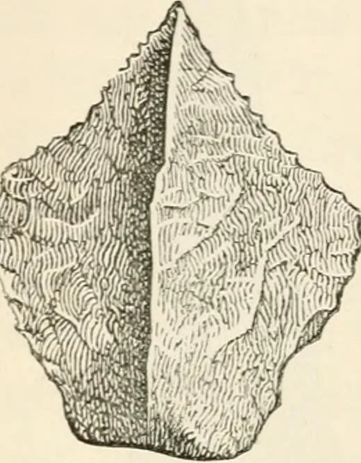 An illustration from The epoch of the mammoth and the apparition of man upon the earth, 1878, leaf 64