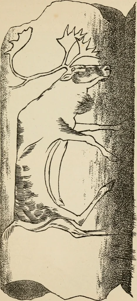 An illustration from The epoch of the mammoth and the apparition of man upon the earth, 1878, leaf 91