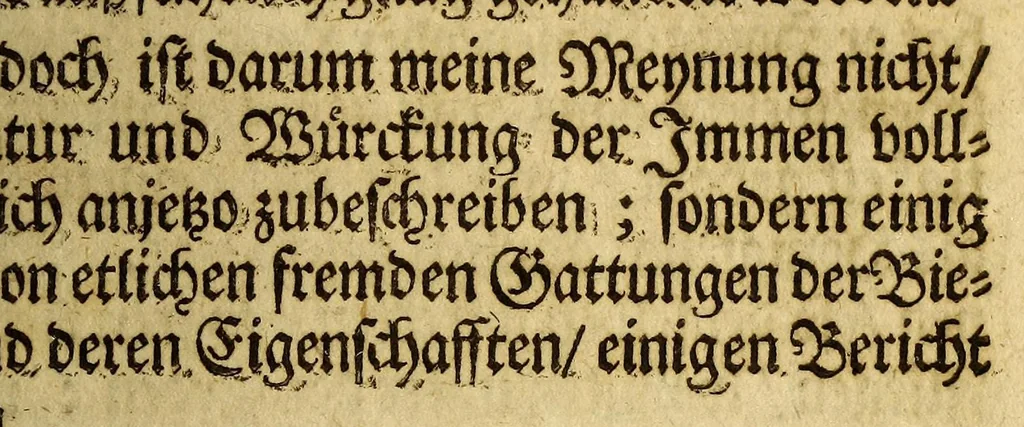 An illustration from Erasmi Francisci Guineischer und americanischer Blumen-Pusch: welcher einen ergetzlichen Geruch mancherley mercklicher Eigenschafften, wunderlicher Thiere, Vögel, Fische, fremder Weisen, Sitten, Gebräuche selbiger Länder; u.a.m. imgleichen aller Königer in Peru und Mexico Geschichten und denckwürdigen Verrichtungen von sich streuet. : Nebenst beygedrucktem Anhang der, hiebey zugleich neu-auffgelegten, Michael Hemmersams sel. Guineisch-und West-indianischen Reisebeschreibung, 1669, leaf 181