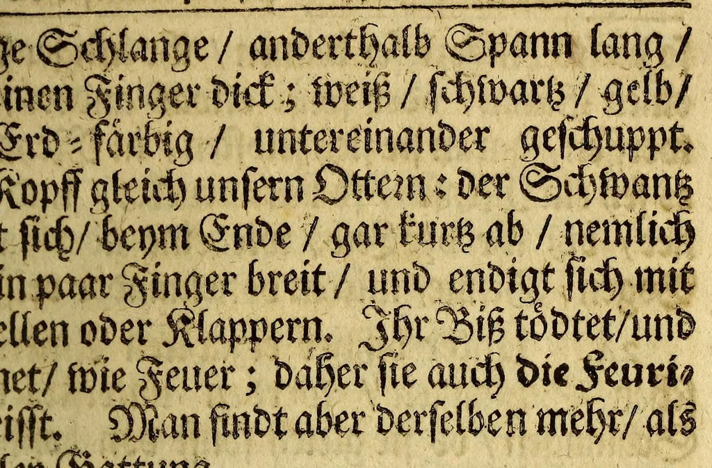 An illustration from Erasmi Francisci Guineischer und americanischer Blumen-Pusch: welcher einen ergetzlichen Geruch mancherley mercklicher Eigenschafften, wunderlicher Thiere, Vögel, Fische, fremder Weisen, Sitten, Gebräuche selbiger Länder; u.a.m. imgleichen aller Königer in Peru und Mexico Geschichten und denckwürdigen Verrichtungen von sich streuet. : Nebenst beygedrucktem Anhang der, hiebey zugleich neu-auffgelegten, Michael Hemmersams sel. Guineisch-und West-indianischen Reisebeschreibung, 1669, leaf 131
