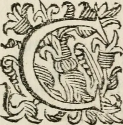 An illustration from Ercole in Tebe; festa teatrale rappresentata in Firenze per le reali nozze de' serenissimi sposi Cosimo terzo, principe di Toscana, e Margherita Lvisa, principessa d'Orleans, 1661, leaf 102