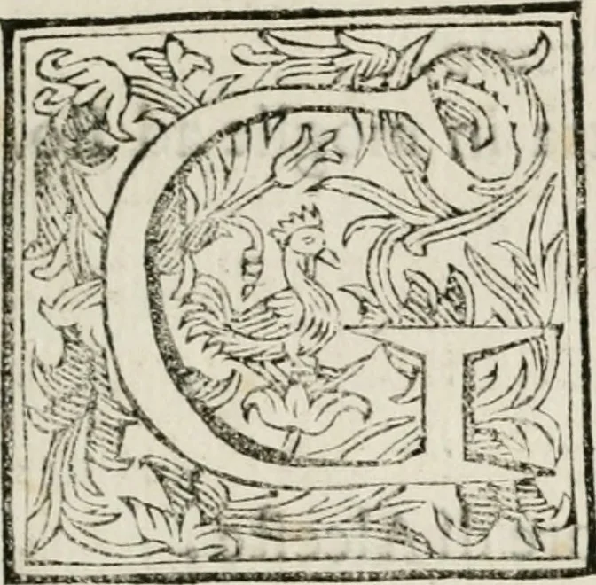 An illustration from Ercole in Tebe; festa teatrale rappresentata in Firenze per le reali nozze de' serenissimi sposi Cosimo terzo, principe di Toscana, e Margherita Lvisa, principessa d'Orleans, 1661, leaf 12