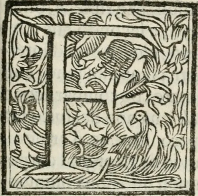 An illustration from Ercole in Tebe; festa teatrale rappresentata in Firenze per le reali nozze de' serenissimi sposi Cosimo terzo, principe di Toscana, e Margherita Lvisa, principessa d'Orleans, 1661, leaf 154