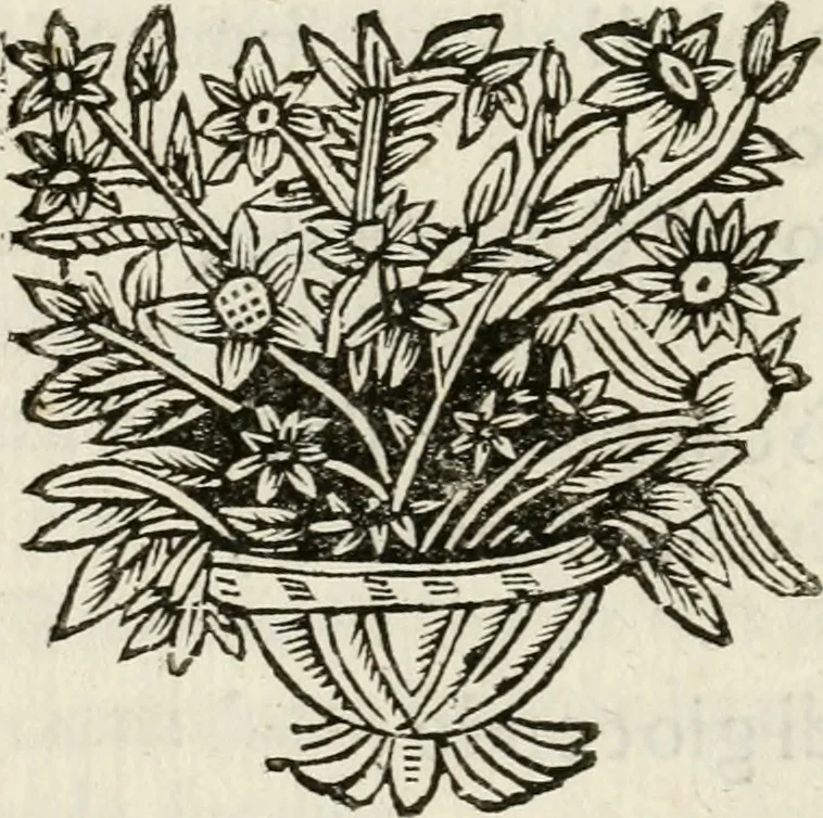 An illustration from Ercole in Tebe; festa teatrale rappresentata in Firenze per le reali nozze de' serenissimi sposi Cosimo terzo, principe di Toscana, e Margherita Lvisa, principessa d'Orleans, 1661, leaf 25