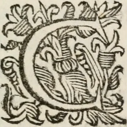 An illustration from Ercole in Tebe; festa teatrale rappresentata in Firenze per le reali nozze de' serenissimi sposi Cosimo terzo, principe di Toscana, e Margherita Lvisa, principessa d'Orleans, 1661, leaf 52