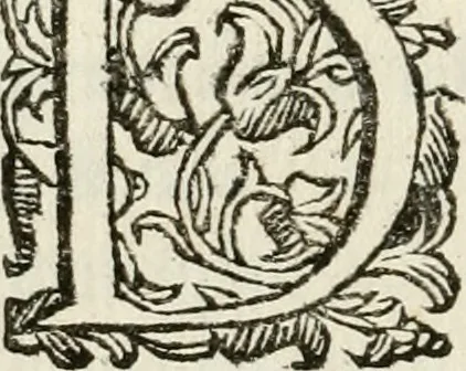 An illustration from Ercole in Tebe; festa teatrale rappresentata in Firenze per le reali nozze de' serenissimi sposi Cosimo terzo, principe di Toscana, e Margherita Lvisa, principessa d'Orleans, 1661, leaf 73