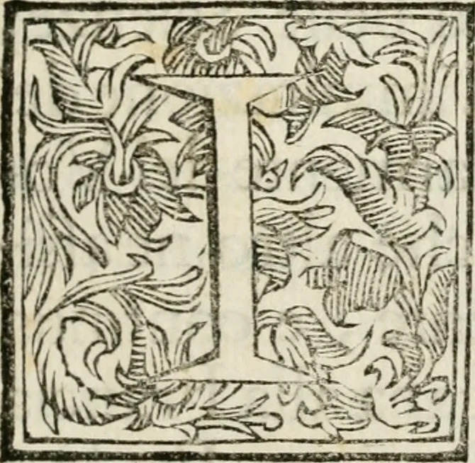 An illustration from Ercole in Tebe; festa teatrale rappresentata in Firenze per le reali nozze de' serenissimi sposi Cosimo terzo, principe di Toscana, e Margherita Lvisa, principessa d'Orleans, 1661, leaf 8