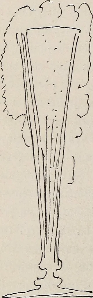An illustration from Erinnerungen an Wilhelm von Kaulbach und sein Haus : mit Briefen und hundertsechzig Abbildungen, 1921, leaf 262