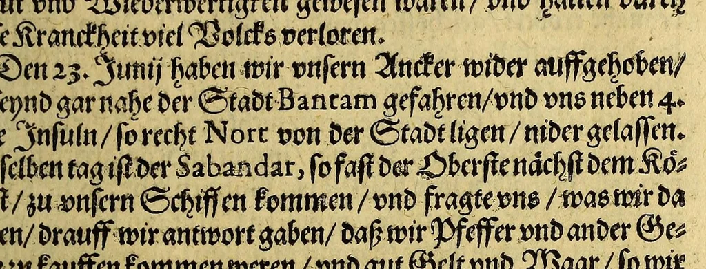 An illustration from Erste Schiffahrt[.] In die Orientalische Indien, so die hollandischen Schiff, : im Martio 1595. aussgefahren, vnd im Augusto 1597. wider kommen verricht. Darinn kürtzlich, doch warhafftiglich der gantze Succes der Reyse, erzehlet wird. Mit etlichen nöthigen Erklärung, Carten und Figuren gezieret., 1606, leaf 41