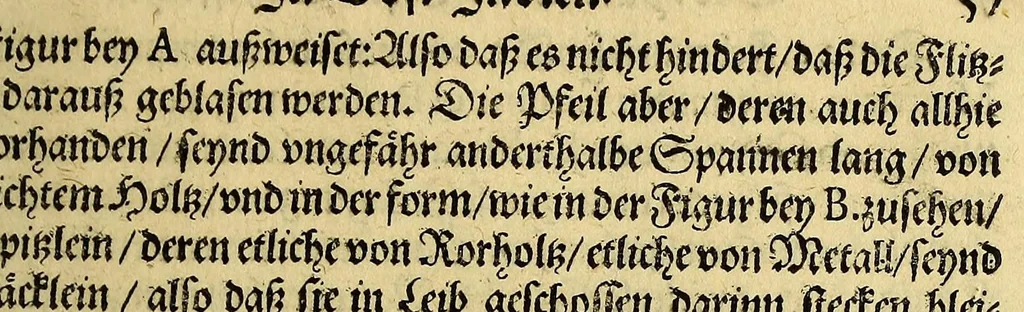 An illustration from Erste Schiffahrt[.] In die Orientalische Indien, so die hollandischen Schiff, : im Martio 1595. aussgefahren, vnd im Augusto 1597. wider kommen verricht. Darinn kürtzlich, doch warhafftiglich der gantze Succes der Reyse, erzehlet wird. Mit etlichen nöthigen Erklärung, Carten und Figuren gezieret., 1606, leaf 87