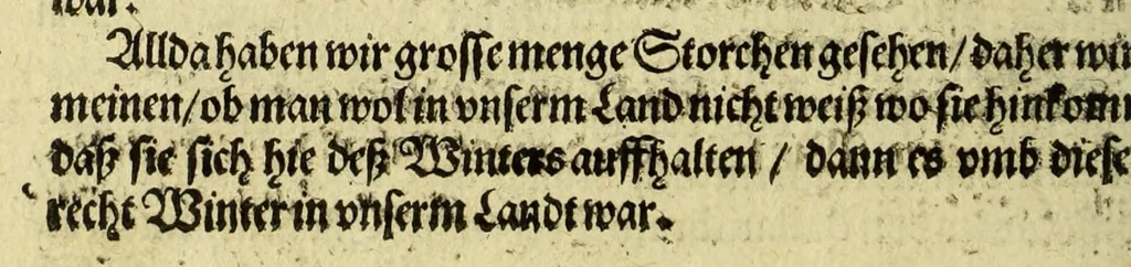 An illustration from Erste Schiffahrt[.] In die Orientalische Indien, so die hollandischen Schiff, : im Martio 1595. aussgefahren, vnd im Augusto 1597. wider kommen verricht. Darinn kürtzlich, doch warhafftiglich der gantze Succes der Reyse, erzehlet wird. Mit etlichen nöthigen Erklärung, Carten und Figuren gezieret., 1606, leaf 74