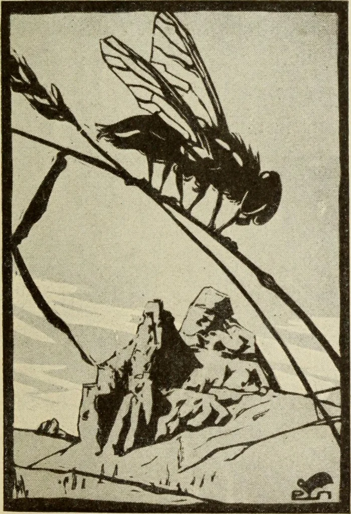 An illustration from Erstes Verzeichnis der Radierunger, Lithographien und Holzschnitte moderner Graphiker : welche meist in Handdrucken und signiert auf der Vertriebsstelle vorrätig sind, 1904, leaf 10