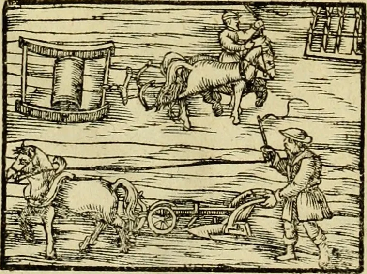 An illustration from Erste Theil der Hoffhaltung des Türckhischen Keysers vnd Othomañischen Reichs Beschreibung : darinn nicht allein der Türcken Empter ... sonder auch aller Türckischen Keysern Namen, Thaten, Krieg vnd Handel, so sie wider die Christen vnd Heyden haben verbracht, biss auff diss M.D.LXXVIII. Jar erstreckt vnd aussgeführet, auff das fleissigst verzeichnet vnd beschrieben : dessgleichen von der Türcken Aberglauben, Religion, Gottesdienst vnd Ceremonien ... : der ander Theil, wahrhaffte Beschreibung aller namhafften Geschichten, Thaten, Handlungen, Krieg ... so sich zwischen den Turcken vnd Christen vom Jar M.D.XX. biss auff das M.D.LXXVIII. Jar ... haben verloffen vnd zugetragen, 1578, leaf 113