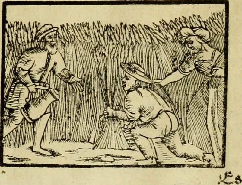 An illustration from Erste Theil der Hoffhaltung des Türckhischen Keysers vnd Othomañischen Reichs Beschreibung : darinn nicht allein der Türcken Empter ... sonder auch aller Türckischen Keysern Namen, Thaten, Krieg vnd Handel, so sie wider die Christen vnd Heyden haben verbracht, biss auff diss M.D.LXXVIII. Jar erstreckt vnd aussgeführet, auff das fleissigst verzeichnet vnd beschrieben : dessgleichen von der Türcken Aberglauben, Religion, Gottesdienst vnd Ceremonien ... : der ander Theil, wahrhaffte Beschreibung aller namhafften Geschichten, Thaten, Handlungen, Krieg ... so sich zwischen den Turcken vnd Christen vom Jar M.D.XX. biss auff das M.D.LXXVIII. Jar ... haben verloffen vnd zugetragen, 1578, leaf 113