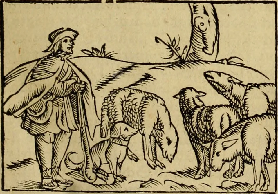 An illustration from Erste Theil der Hoffhaltung des Türckhischen Keysers vnd Othomañischen Reichs Beschreibung : darinn nicht allein der Türcken Empter ... sonder auch aller Türckischen Keysern Namen, Thaten, Krieg vnd Handel, so sie wider die Christen vnd Heyden haben verbracht, biss auff diss M.D.LXXVIII. Jar erstreckt vnd aussgeführet, auff das fleissigst verzeichnet vnd beschrieben : dessgleichen von der Türcken Aberglauben, Religion, Gottesdienst vnd Ceremonien ... : der ander Theil, wahrhaffte Beschreibung aller namhafften Geschichten, Thaten, Handlungen, Krieg ... so sich zwischen den Turcken vnd Christen vom Jar M.D.XX. biss auff das M.D.LXXVIII. Jar ... haben verloffen vnd zugetragen, 1578, leaf 114