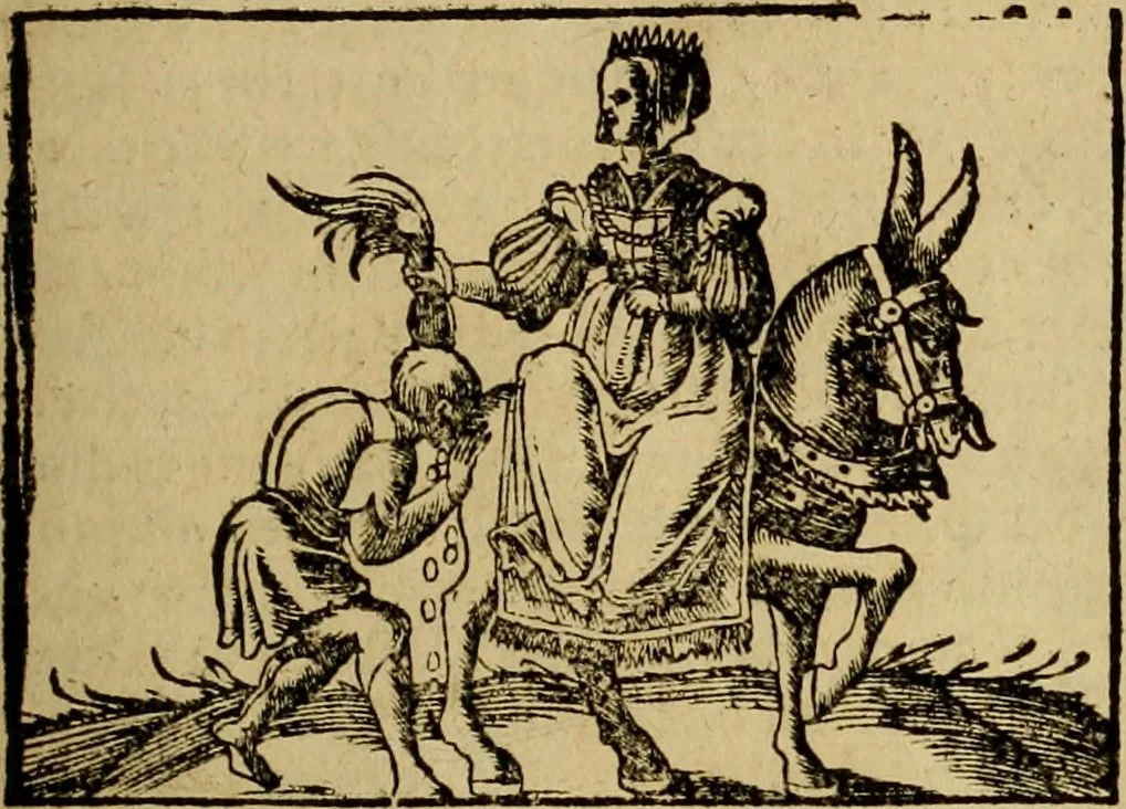 An illustration from Erste Theil der Hoffhaltung des Türckhischen Keysers vnd Othomañischen Reichs Beschreibung : darinn nicht allein der Türcken Empter ... sonder auch aller Türckischen Keysern Namen, Thaten, Krieg vnd Handel, so sie wider die Christen vnd Heyden haben verbracht, biss auff diss M.D.LXXVIII. Jar erstreckt vnd aussgeführet, auff das fleissigst verzeichnet vnd beschrieben : dessgleichen von der Türcken Aberglauben, Religion, Gottesdienst vnd Ceremonien ... : der ander Theil, wahrhaffte Beschreibung aller namhafften Geschichten, Thaten, Handlungen, Krieg ... so sich zwischen den Turcken vnd Christen vom Jar M.D.XX. biss auff das M.D.LXXVIII. Jar ... haben verloffen vnd zugetragen, 1578, leaf 118