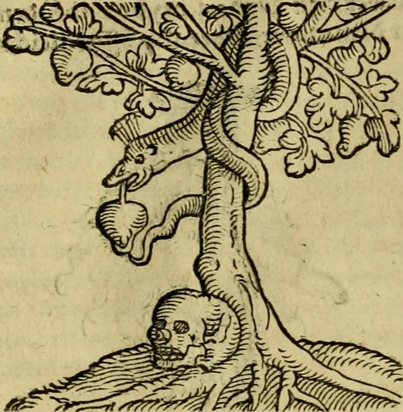 An illustration from Erste Theil der Hoffhaltung des Türckhischen Keysers vnd Othomañischen Reichs Beschreibung : darinn nicht allein der Türcken Empter ... sonder auch aller Türckischen Keysern Namen, Thaten, Krieg vnd Handel, so sie wider die Christen vnd Heyden haben verbracht, biss auff diss M.D.LXXVIII. Jar erstreckt vnd aussgeführet, auff das fleissigst verzeichnet vnd beschrieben : dessgleichen von der Türcken Aberglauben, Religion, Gottesdienst vnd Ceremonien ... : der ander Theil, wahrhaffte Beschreibung aller namhafften Geschichten, Thaten, Handlungen, Krieg ... so sich zwischen den Turcken vnd Christen vom Jar M.D.XX. biss auff das M.D.LXXVIII. Jar ... haben verloffen vnd zugetragen, 1578, leaf 125