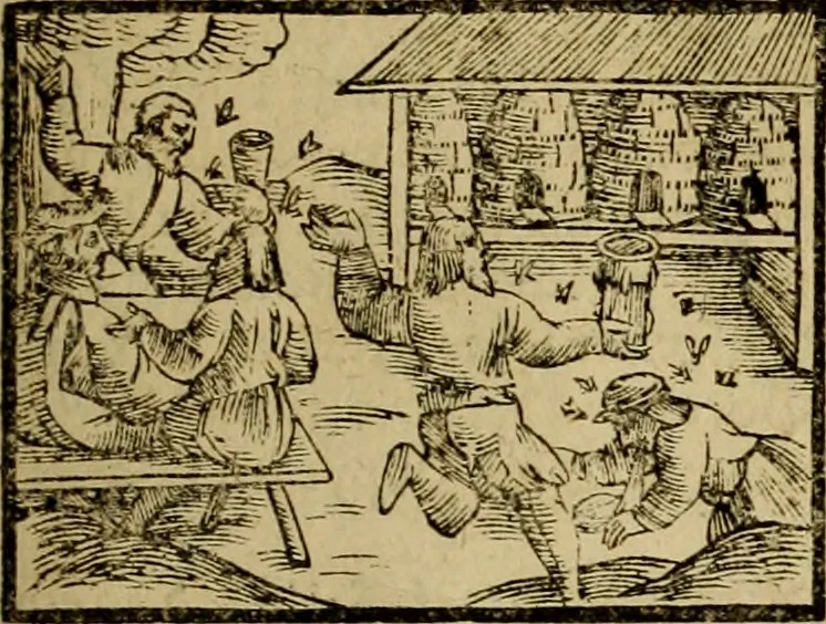 An illustration from Erste Theil der Hoffhaltung des Türckhischen Keysers vnd Othomañischen Reichs Beschreibung : darinn nicht allein der Türcken Empter ... sonder auch aller Türckischen Keysern Namen, Thaten, Krieg vnd Handel, so sie wider die Christen vnd Heyden haben verbracht, biss auff diss M.D.LXXVIII. Jar erstreckt vnd aussgeführet, auff das fleissigst verzeichnet vnd beschrieben : dessgleichen von der Türcken Aberglauben, Religion, Gottesdienst vnd Ceremonien ... : der ander Theil, wahrhaffte Beschreibung aller namhafften Geschichten, Thaten, Handlungen, Krieg ... so sich zwischen den Turcken vnd Christen vom Jar M.D.XX. biss auff das M.D.LXXVIII. Jar ... haben verloffen vnd zugetragen, 1578, leaf 128