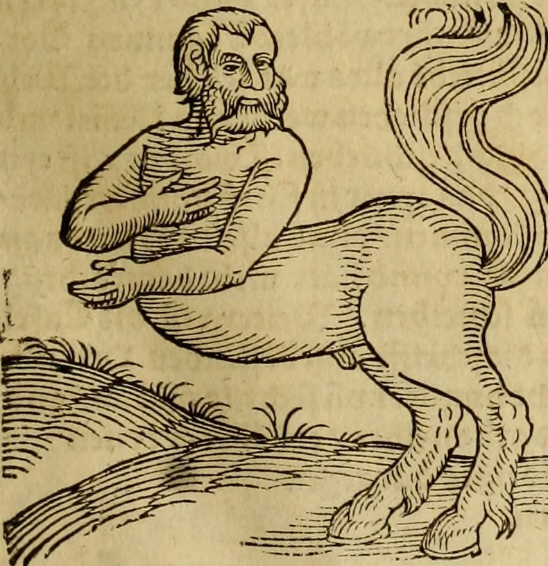 An illustration from Erste Theil der Hoffhaltung des Türckhischen Keysers vnd Othomañischen Reichs Beschreibung : darinn nicht allein der Türcken Empter ... sonder auch aller Türckischen Keysern Namen, Thaten, Krieg vnd Handel, so sie wider die Christen vnd Heyden haben verbracht, biss auff diss M.D.LXXVIII. Jar erstreckt vnd aussgeführet, auff das fleissigst verzeichnet vnd beschrieben : dessgleichen von der Türcken Aberglauben, Religion, Gottesdienst vnd Ceremonien ... : der ander Theil, wahrhaffte Beschreibung aller namhafften Geschichten, Thaten, Handlungen, Krieg ... so sich zwischen den Turcken vnd Christen vom Jar M.D.XX. biss auff das M.D.LXXVIII. Jar ... haben verloffen vnd zugetragen, 1578, leaf 138