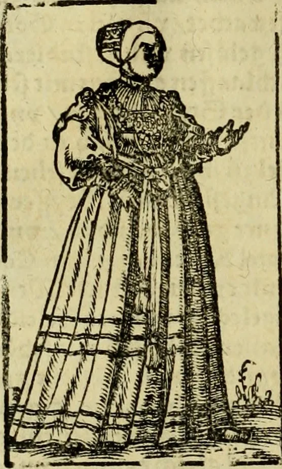 An illustration from Erste Theil der Hoffhaltung des Türckhischen Keysers vnd Othomañischen Reichs Beschreibung : darinn nicht allein der Türcken Empter ... sonder auch aller Türckischen Keysern Namen, Thaten, Krieg vnd Handel, so sie wider die Christen vnd Heyden haben verbracht, biss auff diss M.D.LXXVIII. Jar erstreckt vnd aussgeführet, auff das fleissigst verzeichnet vnd beschrieben : dessgleichen von der Türcken Aberglauben, Religion, Gottesdienst vnd Ceremonien ... : der ander Theil, wahrhaffte Beschreibung aller namhafften Geschichten, Thaten, Handlungen, Krieg ... so sich zwischen den Turcken vnd Christen vom Jar M.D.XX. biss auff das M.D.LXXVIII. Jar ... haben verloffen vnd zugetragen, 1578, leaf 141