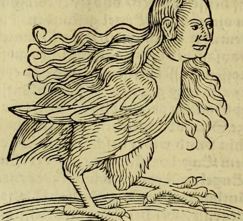 An illustration from Erste Theil der Hoffhaltung des Türckhischen Keysers vnd Othomañischen Reichs Beschreibung : darinn nicht allein der Türcken Empter ... sonder auch aller Türckischen Keysern Namen, Thaten, Krieg vnd Handel, so sie wider die Christen vnd Heyden haben verbracht, biss auff diss M.D.LXXVIII. Jar erstreckt vnd aussgeführet, auff das fleissigst verzeichnet vnd beschrieben : dessgleichen von der Türcken Aberglauben, Religion, Gottesdienst vnd Ceremonien ... : der ander Theil, wahrhaffte Beschreibung aller namhafften Geschichten, Thaten, Handlungen, Krieg ... so sich zwischen den Turcken vnd Christen vom Jar M.D.XX. biss auff das M.D.LXXVIII. Jar ... haben verloffen vnd zugetragen, 1578, leaf 143