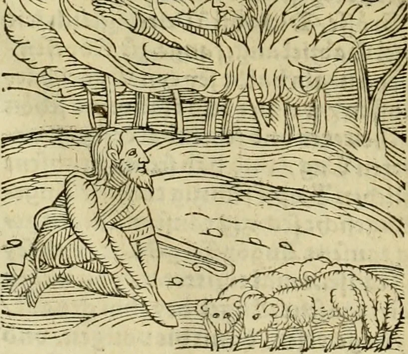 An illustration from Erste Theil der Hoffhaltung des Türckhischen Keysers vnd Othomañischen Reichs Beschreibung : darinn nicht allein der Türcken Empter ... sonder auch aller Türckischen Keysern Namen, Thaten, Krieg vnd Handel, so sie wider die Christen vnd Heyden haben verbracht, biss auff diss M.D.LXXVIII. Jar erstreckt vnd aussgeführet, auff das fleissigst verzeichnet vnd beschrieben : dessgleichen von der Türcken Aberglauben, Religion, Gottesdienst vnd Ceremonien ... : der ander Theil, wahrhaffte Beschreibung aller namhafften Geschichten, Thaten, Handlungen, Krieg ... so sich zwischen den Turcken vnd Christen vom Jar M.D.XX. biss auff das M.D.LXXVIII. Jar ... haben verloffen vnd zugetragen, 1578, leaf 151