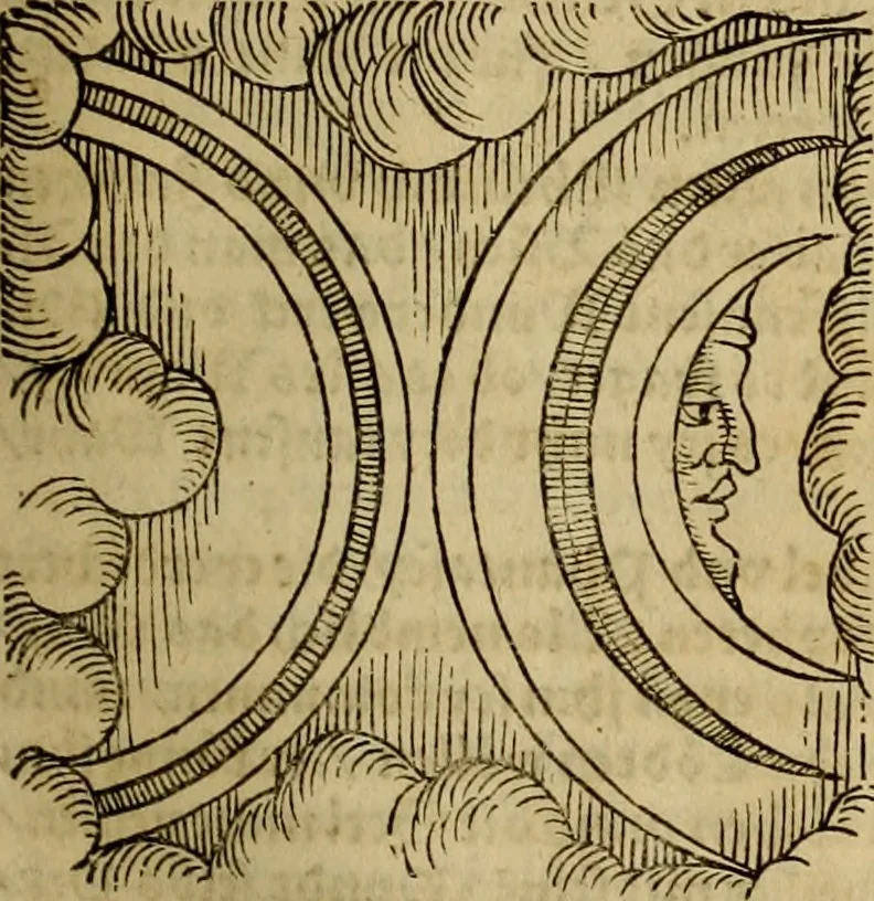 An illustration from Erste Theil der Hoffhaltung des Türckhischen Keysers vnd Othomañischen Reichs Beschreibung : darinn nicht allein der Türcken Empter ... sonder auch aller Türckischen Keysern Namen, Thaten, Krieg vnd Handel, so sie wider die Christen vnd Heyden haben verbracht, biss auff diss M.D.LXXVIII. Jar erstreckt vnd aussgeführet, auff das fleissigst verzeichnet vnd beschrieben : dessgleichen von der Türcken Aberglauben, Religion, Gottesdienst vnd Ceremonien ... : der ander Theil, wahrhaffte Beschreibung aller namhafften Geschichten, Thaten, Handlungen, Krieg ... so sich zwischen den Turcken vnd Christen vom Jar M.D.XX. biss auff das M.D.LXXVIII. Jar ... haben verloffen vnd zugetragen, 1578, leaf 154